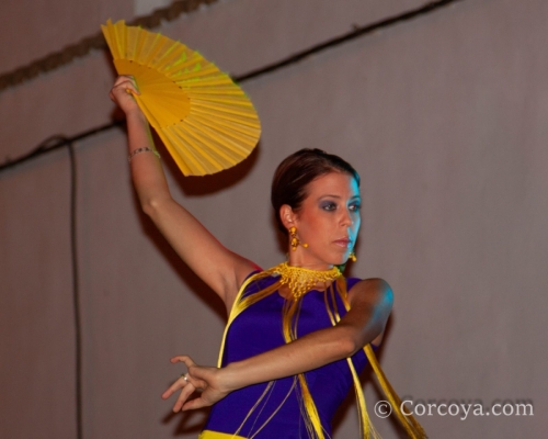 2009 Dia 09-43