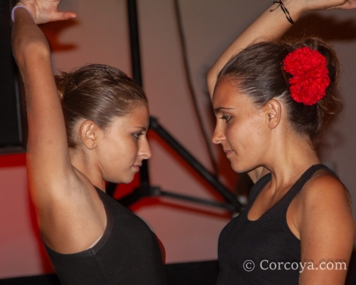2009 Dia 09-48