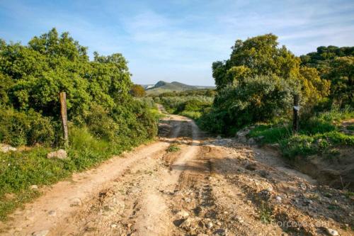 2009 Paseo Cueva Saballo