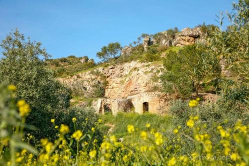 2009 Paseo Cueva Saballo