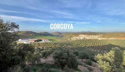 corcoya